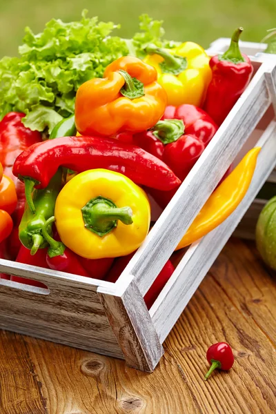 Pimientos coloridos en una caja de madera — Foto de Stock