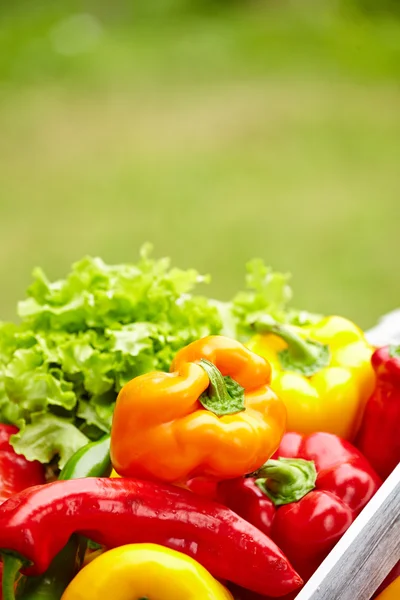 Colorful peppers in a wooden box — Stock Photo, Image