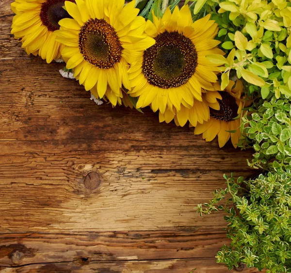 Frame van tuin bloemen — Stockfoto