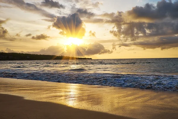 Günbatımında tropik plaj — Stok fotoğraf