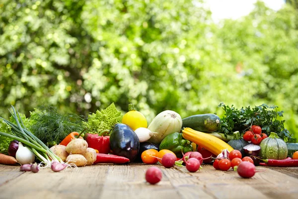 Färska ekologiska grönsaker på bord av trä — Stockfoto
