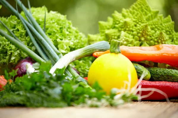 Vegetables on wood table in garden — Stock Photo, Image