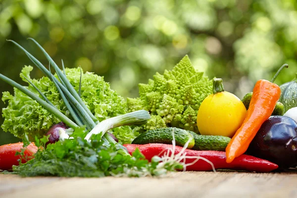 Vegetables on wood table in garden — Stock Photo, Image