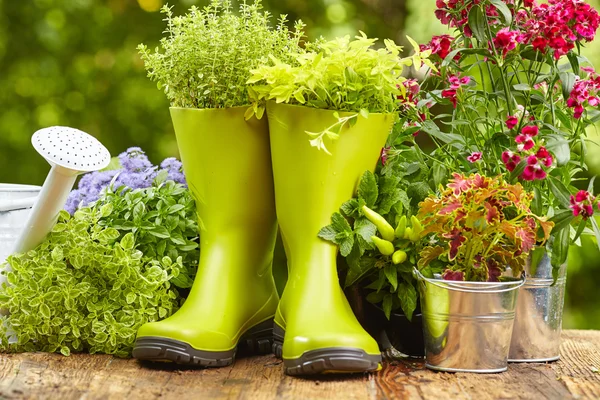 Attrezzi da giardinaggio all'aperto — Foto Stock