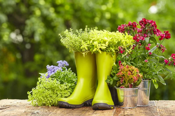 Buiten tuingereedschap — Stockfoto