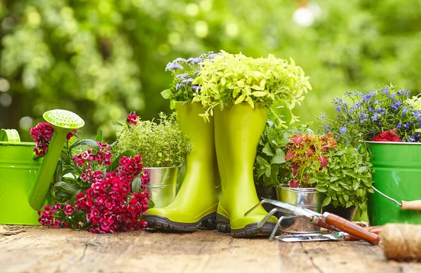 Herramientas de jardinería exterior — Foto de Stock