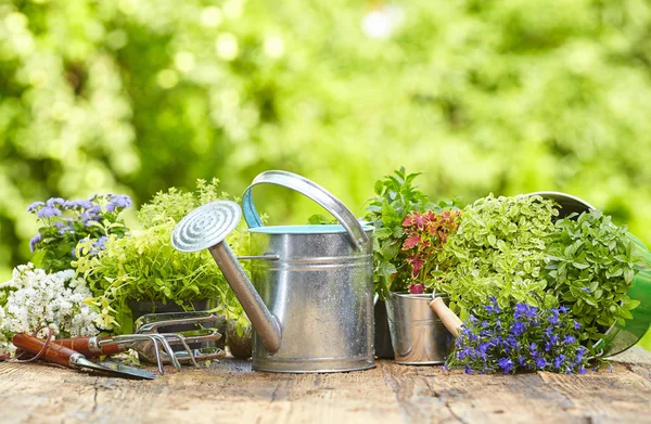 屋外の園芸工具 — ストック写真