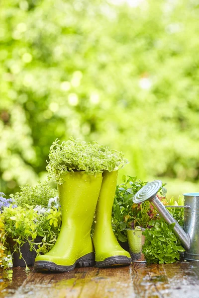 Attrezzi da giardinaggio all'aperto — Foto Stock