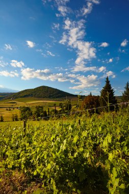 Toskana 'nın güzel manzarası