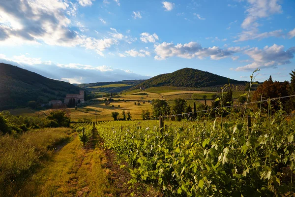 Beautiful landscape in Tuscany — Stock Photo, Image