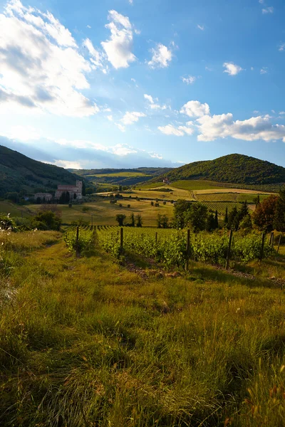 Vinhedos da Toscana no outono — Fotografia de Stock