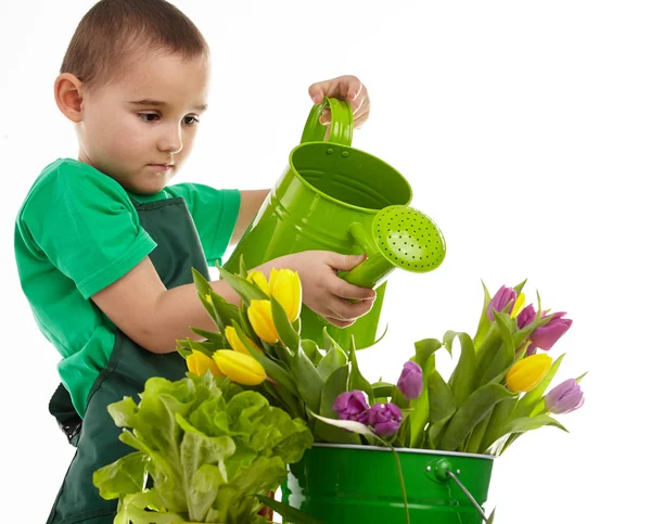 Little gardener boy, isolated on white — Stock Photo, Image