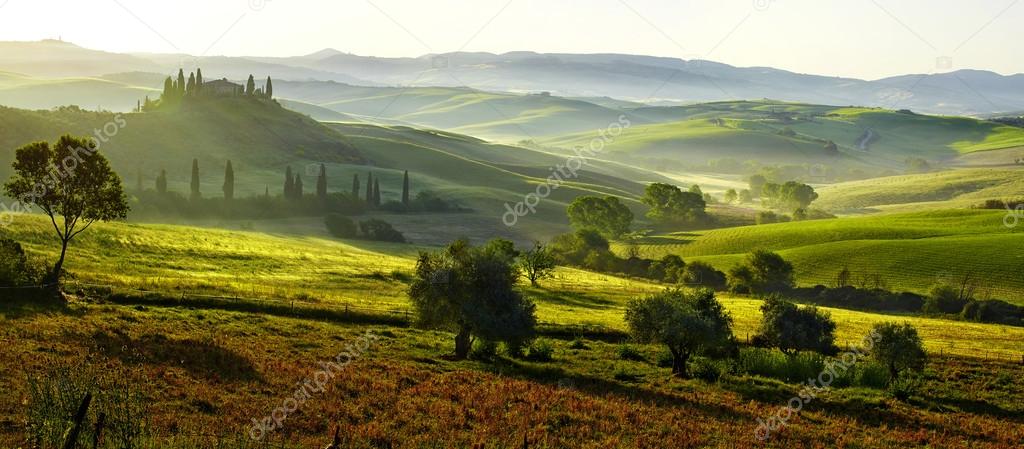 Green field landscape