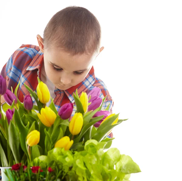 Little gardener boy, isolated on white — Stock Photo, Image