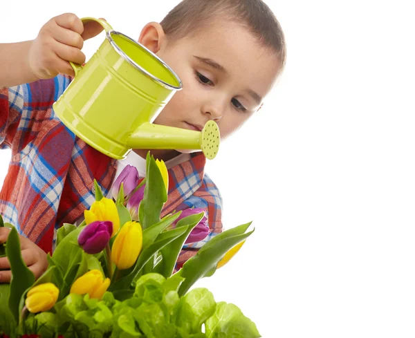 Little gardener boy, isolated on white — Stock Photo, Image