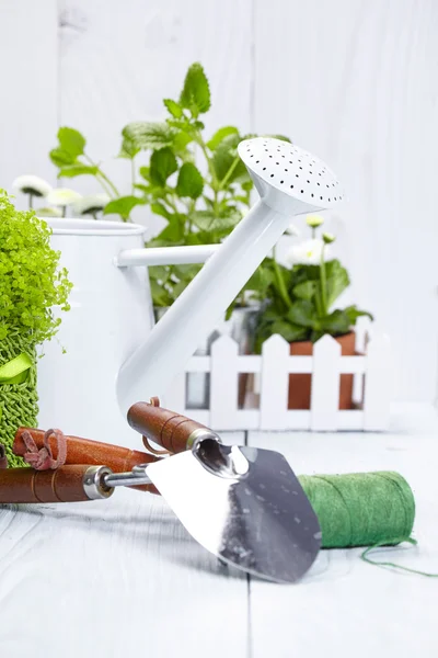 Gardening tools and plants — Stock Photo, Image