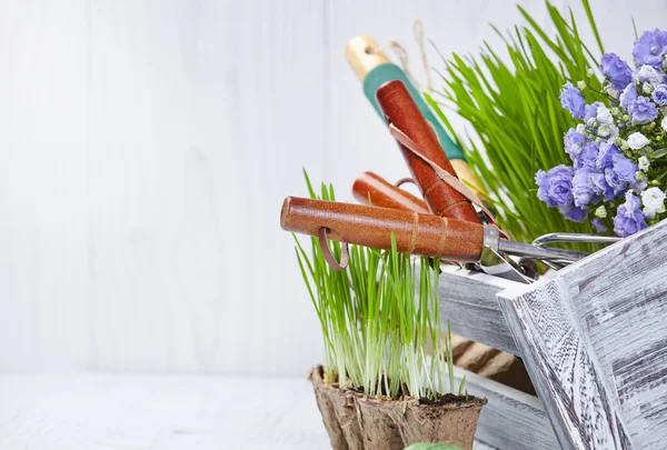 채유 도구와 식물 — 스톡 사진