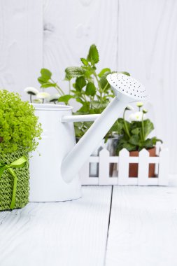 Bahçecilik aletleri ahşap tablo