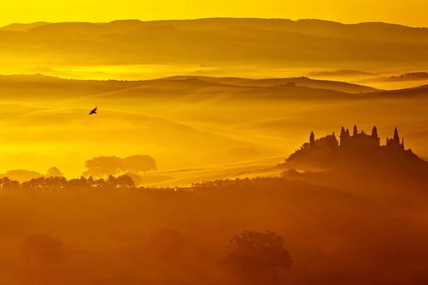 Nascer do sol no vale — Fotografia de Stock