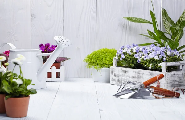 Herramientas de jardinería sobre mesa de madera — Foto de Stock