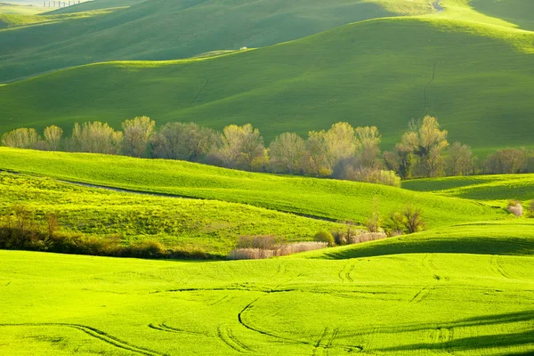 Beautiful green hills in Tuscany — Stock Photo, Image