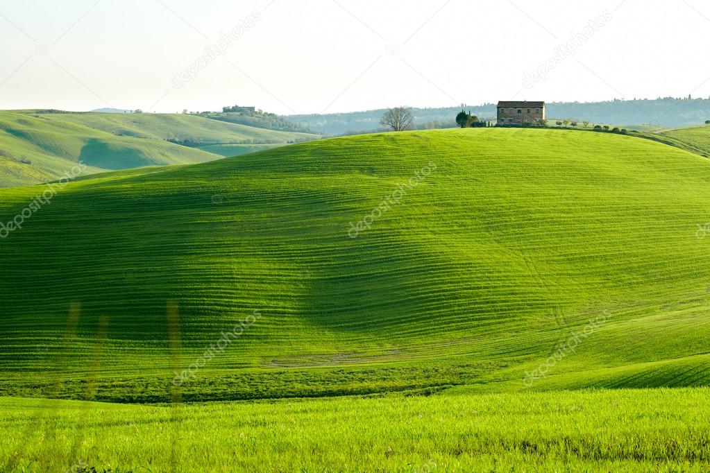 Beautiful green hills in Tuscany