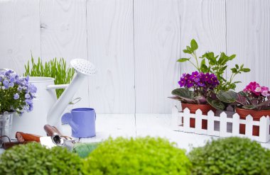 Bitkiler ve Bahçe aletleri