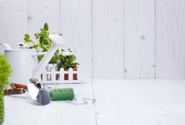 Bitkiler ve Bahçe aletleri