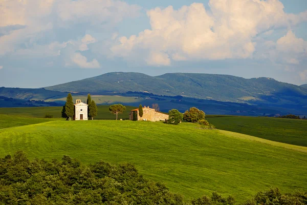 Campagna, San Quirico d'Orcia — Foto Stock