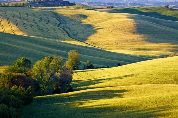 시골, 산 퀴리 코 d'orcia — 스톡 사진