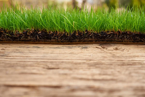 Holz mit grünem Gras Hintergrund — Stockfoto