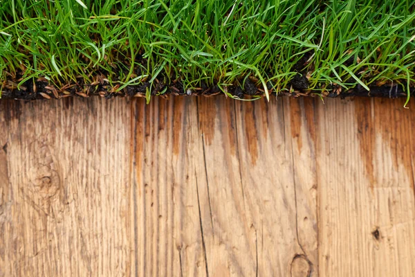 Legno con sfondo erba verde — Foto Stock