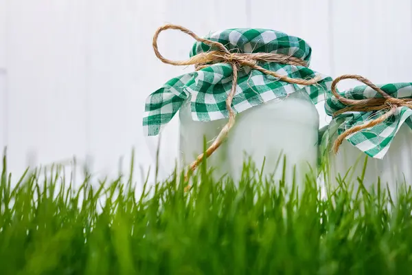 Milchprodukte auf dem Gras — Stockfoto