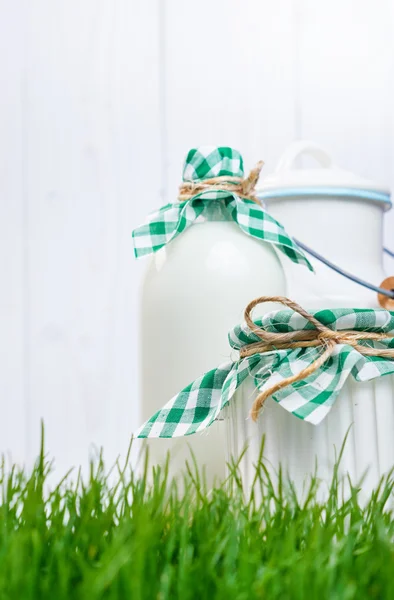 Dairy products on the grass — Stock Photo, Image