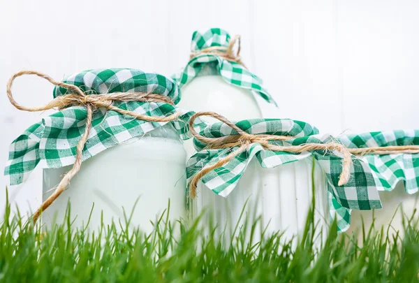 Dairy products on the grass — Stock Photo, Image