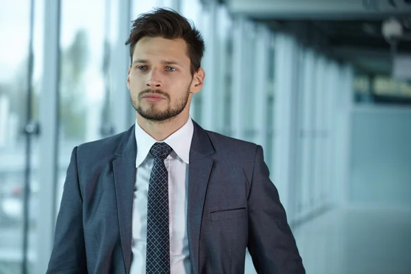 Retrato de hombre de negocios —  Fotos de Stock