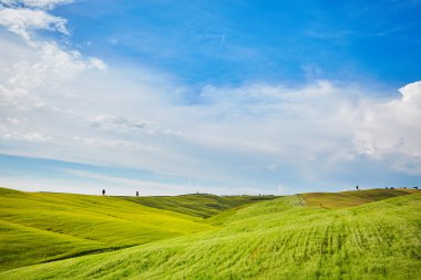 Güneşli gün Tuscany tepelerde