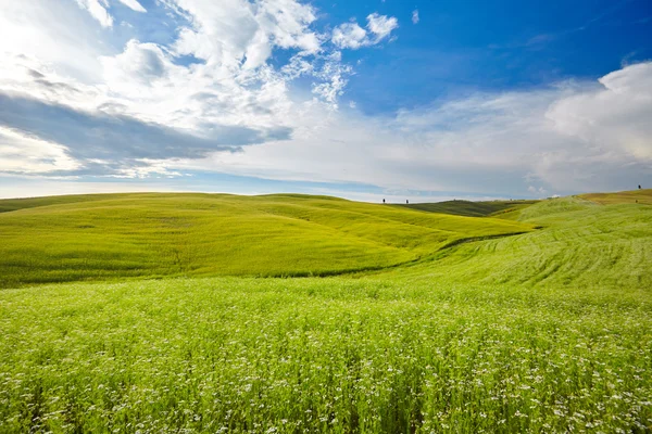 Heuvels in zonnige dag Tuscany — Stockfoto