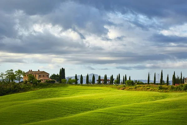 Verdi colline toscane — Foto Stock