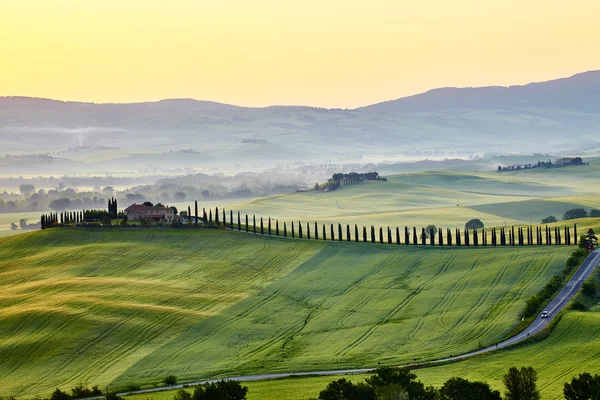 Зелёные холмы Тосканы — стоковое фото