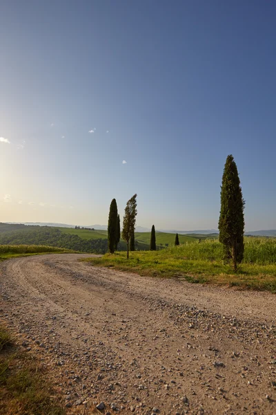 Landelijke weg in Toscane — Stockfoto