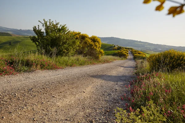 Landelijke weg in Toscane — Stockfoto