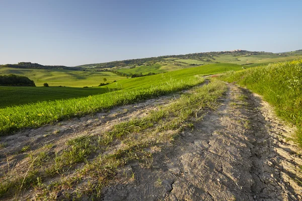 Estrada rural na Toscana — Fotografia de Stock