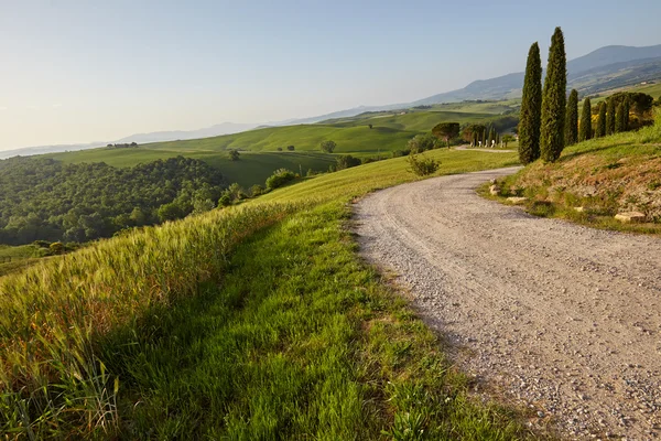 Rural road in Tuscany Stock Image