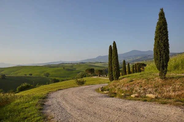 Rural road in Tuscany Stock Image