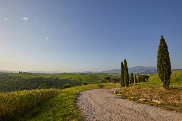 Rural road in Tuscany Stock Photo