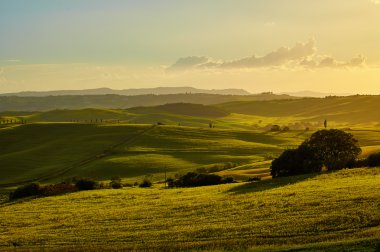 Toskana hills, İtalya