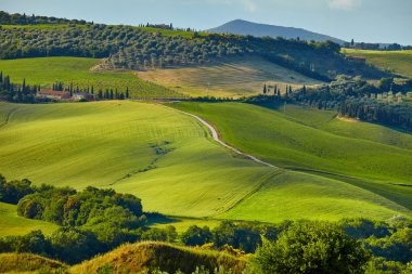 Toskana hills, İtalya