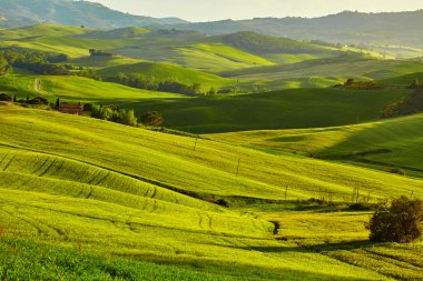 Toskana hills, İtalya