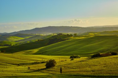 Toskana hills, İtalya